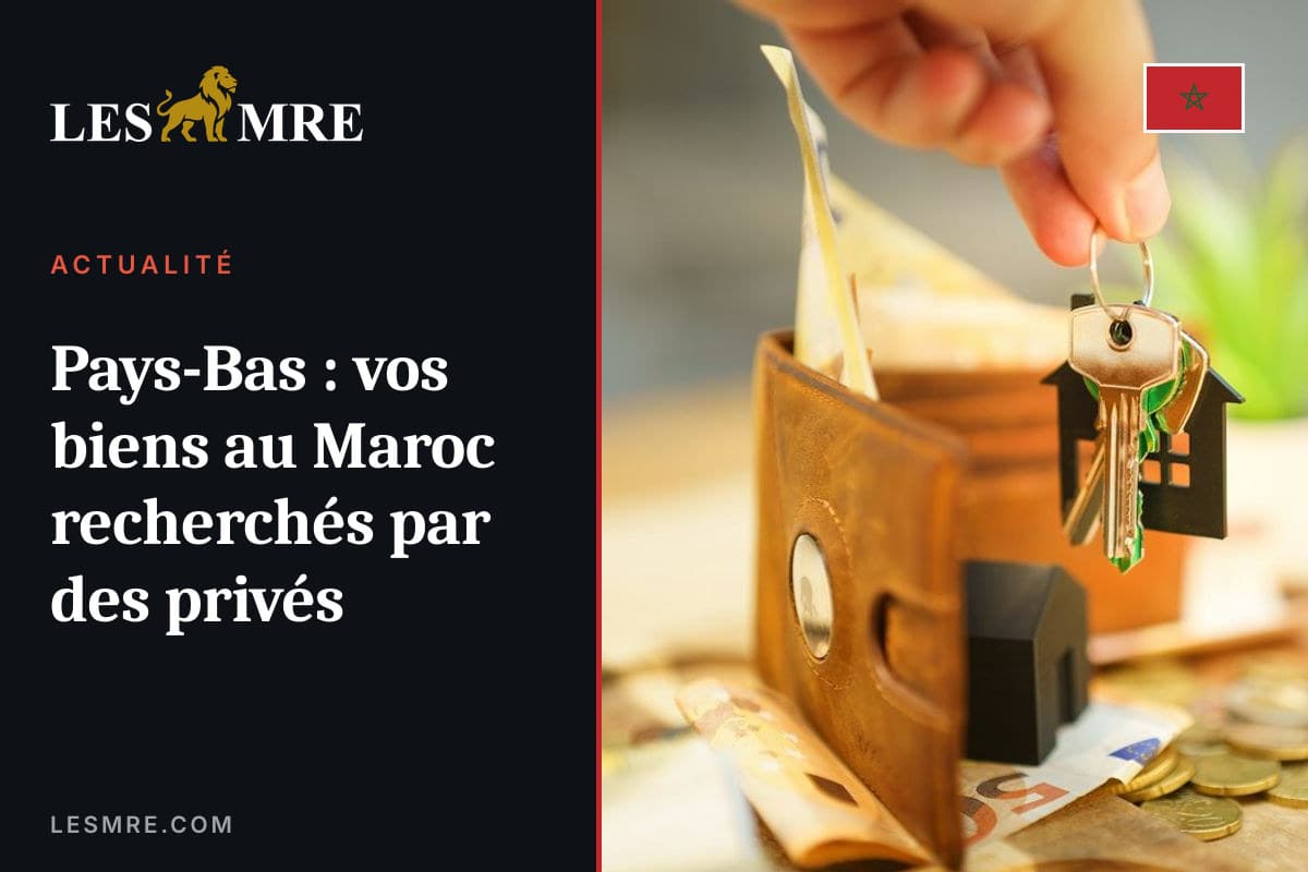 Pays-Bas : vos biens au Maroc recherchés par des privés