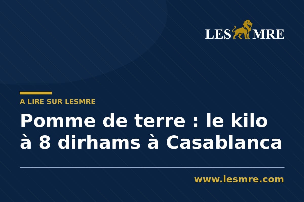 Pomme de terre : le kilo à 8 dirhams à Casablanca
