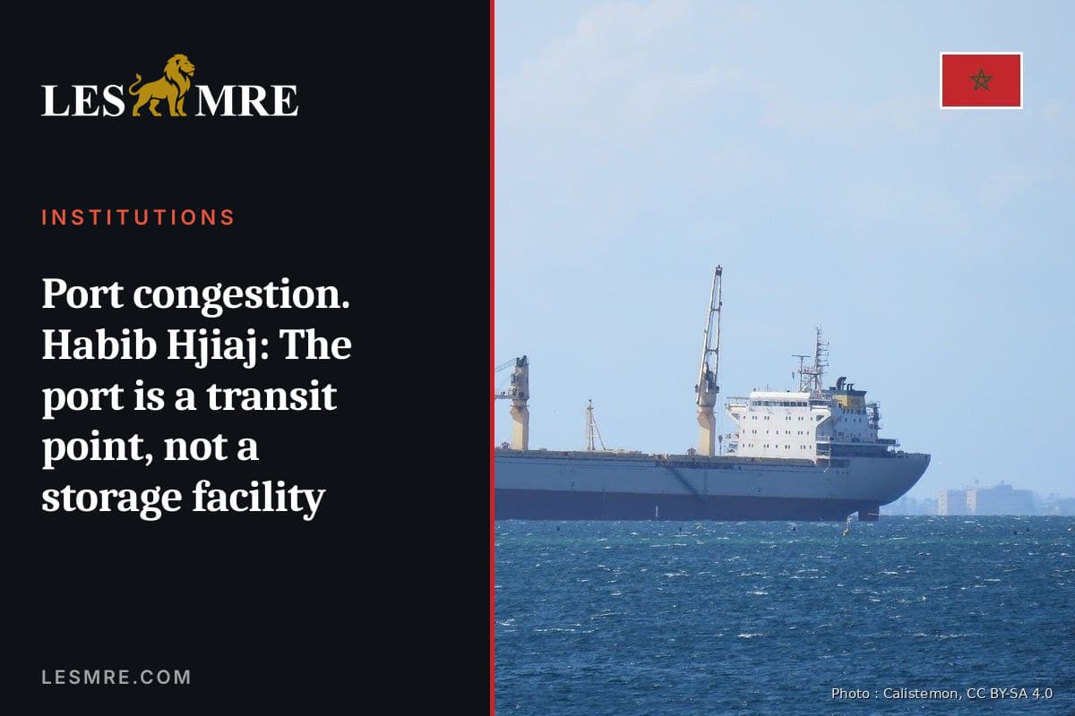 Congestion portuaire. Habib Hjiaj : “Le port est un lieu de transit, pas de stockage”