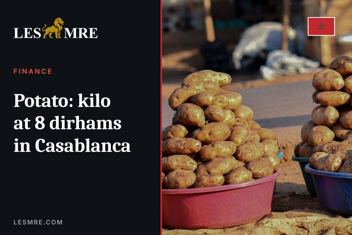 Pomme de terre : le kilo à 8 dirhams à Casablanca